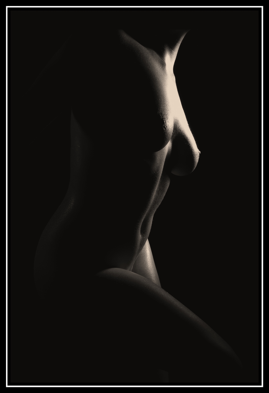 Yd   01   485web